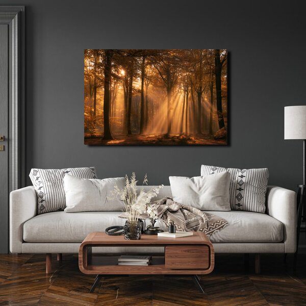 Quadro su tela – Raggi dorati nel bosco