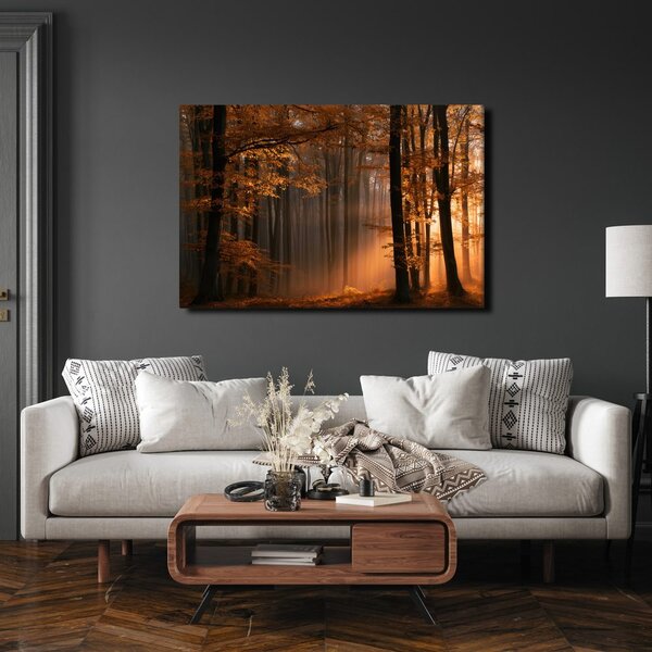 Quadro su tela – Luce dorata nel bosco