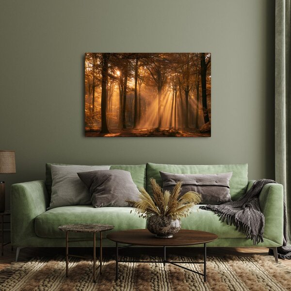Quadro su tela – Raggi dorati nel bosco