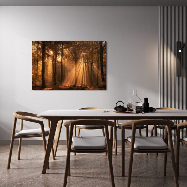 Quadro su tela – Raggi dorati nel bosco