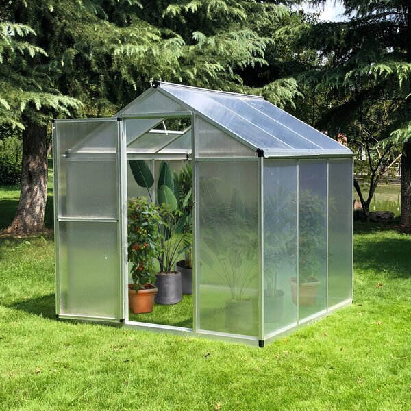 Serra da Giardino per Piante Tetto Apribile e Porta scorrevole Trasparente 182x190x195 cm
