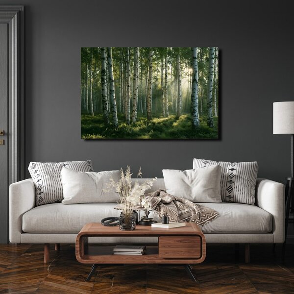 Quadro su tela – Foresta di betulle nella luce del mattino