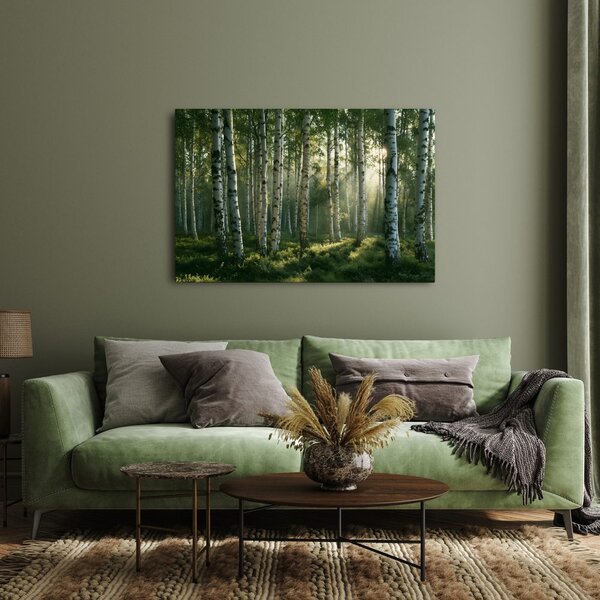 Quadro su tela – Foresta di betulle nella luce del mattino