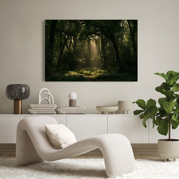 Quadro su tela – Raggi di sole nel bosco