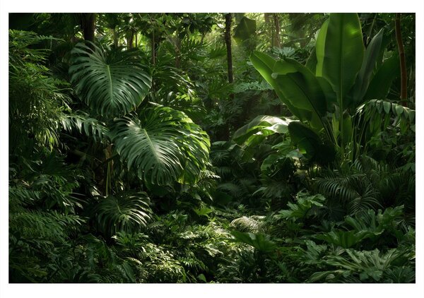 Quadro su tela – Giungla tropicale nel verde