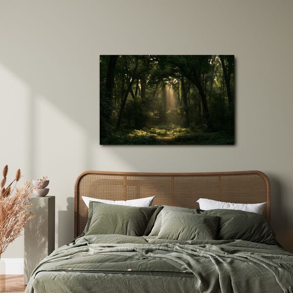 Quadro su tela – Raggi di sole nel bosco