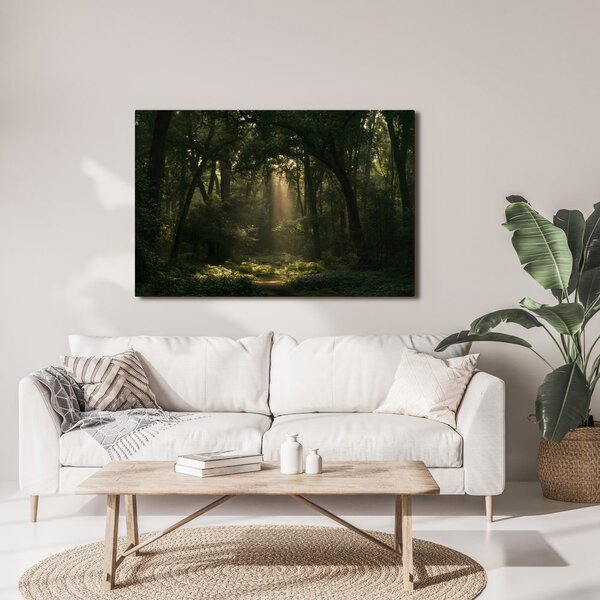 Quadro su tela – Raggi di sole nel bosco