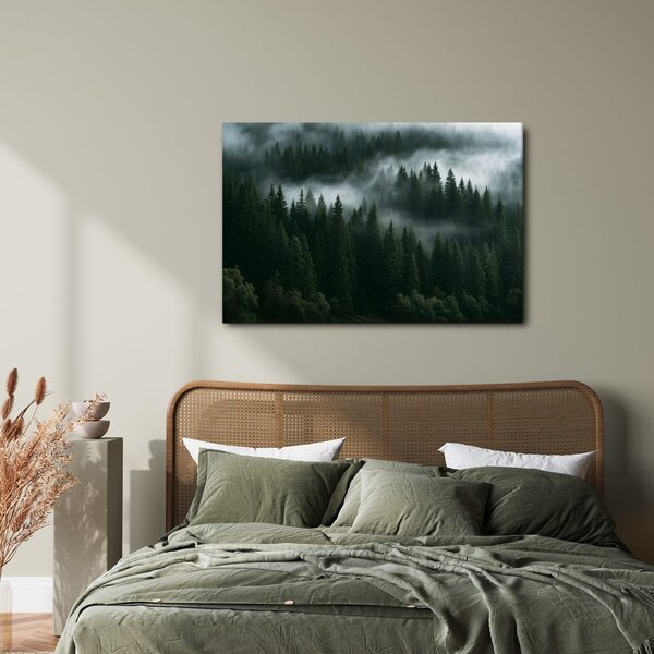 Quadro su tela – Foresta di conifere nella nebbia