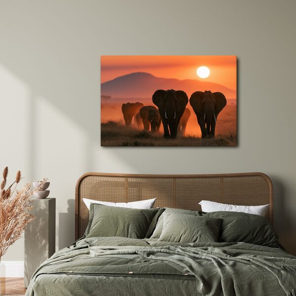 Quadro su tela – Elefanti al tramonto