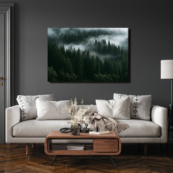 Quadro su tela – Foresta di conifere nella nebbia
