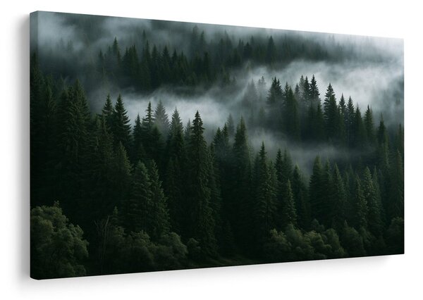 Quadro su tela – Foresta di conifere nella nebbia