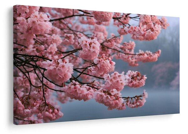 Quadro su tela – Fiori di ciliegio rosa nella nebbia