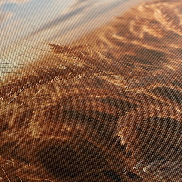Quadro su tela – Grano dorato al tramonto