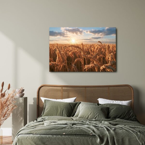 Quadro su tela – Grano dorato al tramonto