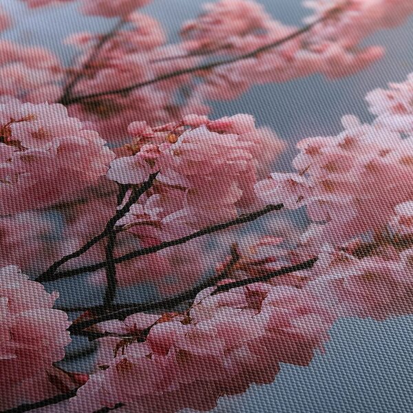 Quadro su tela – Sakura in fiore sull’acqua calma