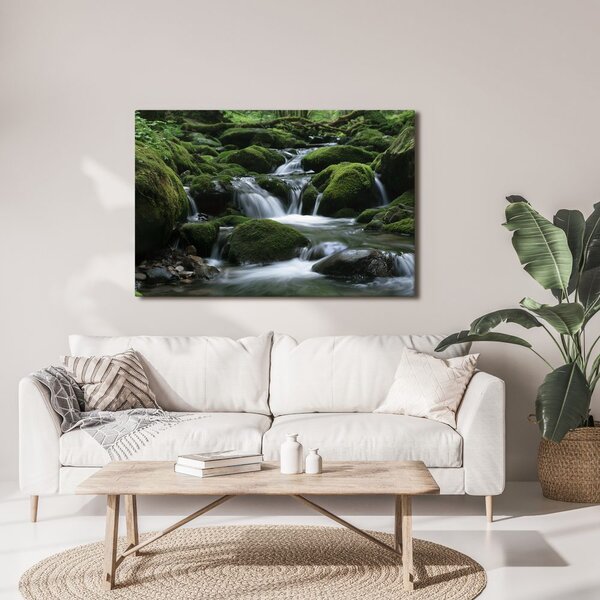 Quadro su tela – Ruscello nel bosco tra il muschio
