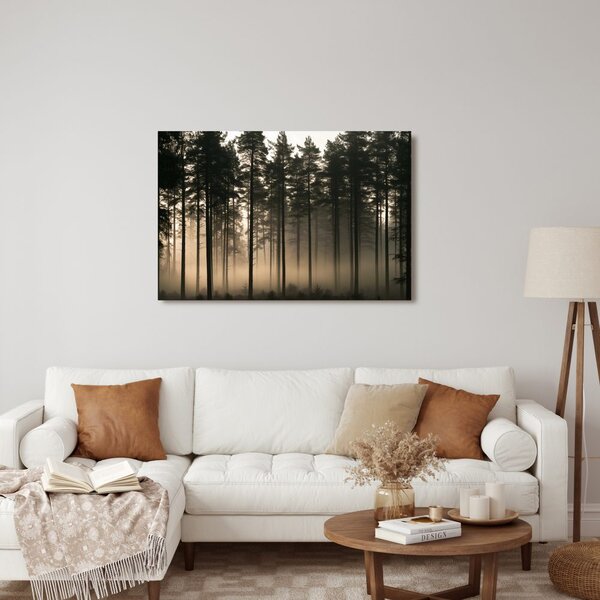 Quadro su tela – Foresta di pini nella nebbia all’alba