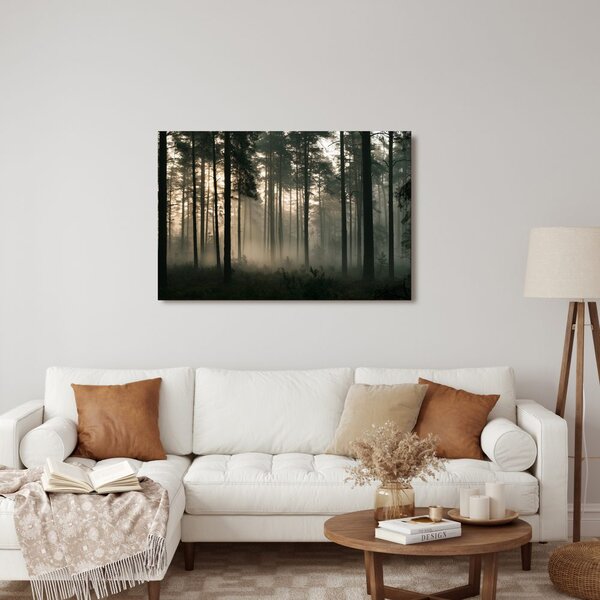 Quadro su tela – Pineta nebbiosa all’alba