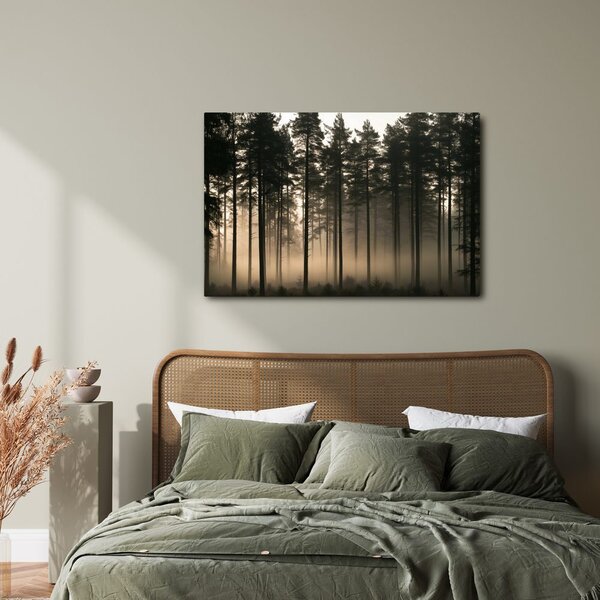 Quadro su tela – Foresta di pini nella nebbia all’alba