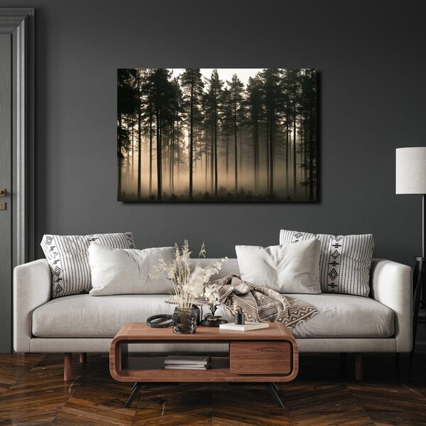 Quadro su tela – Foresta di pini nella nebbia all’alba