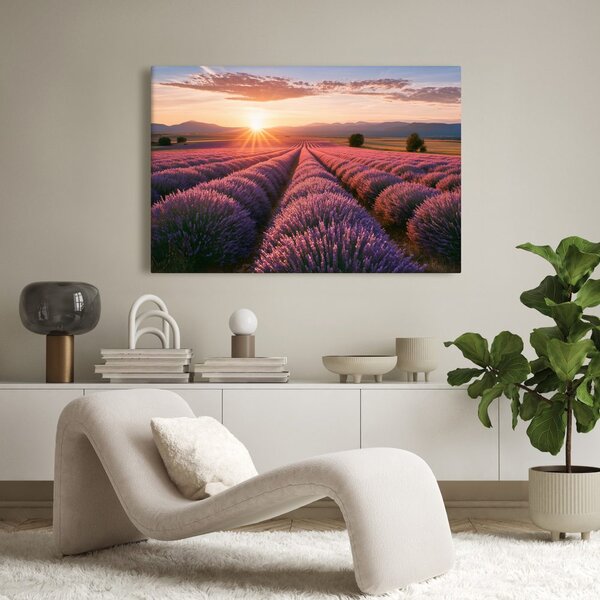Quadro su tela – Sole sul campo di lavanda