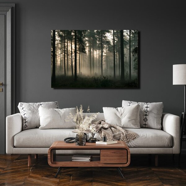 Quadro su tela – Pineta nebbiosa all’alba
