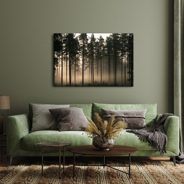 Quadro su tela – Foresta di pini nella nebbia all’alba