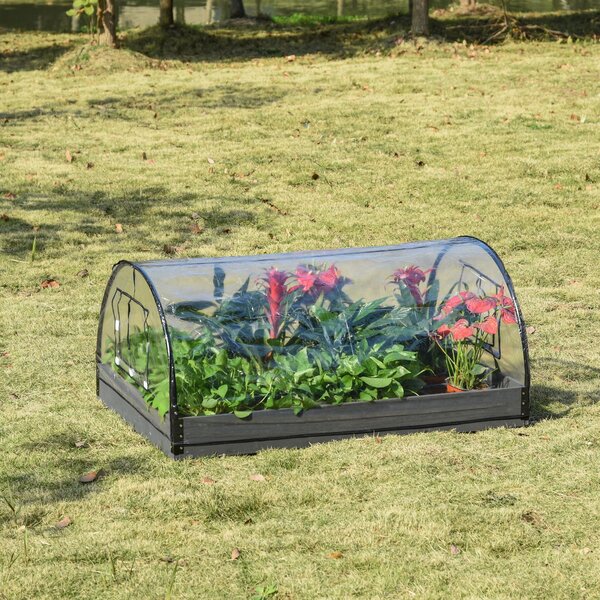 Mini Serra da Giardino Balcone 120x79x53 cm in PVC Trasparente