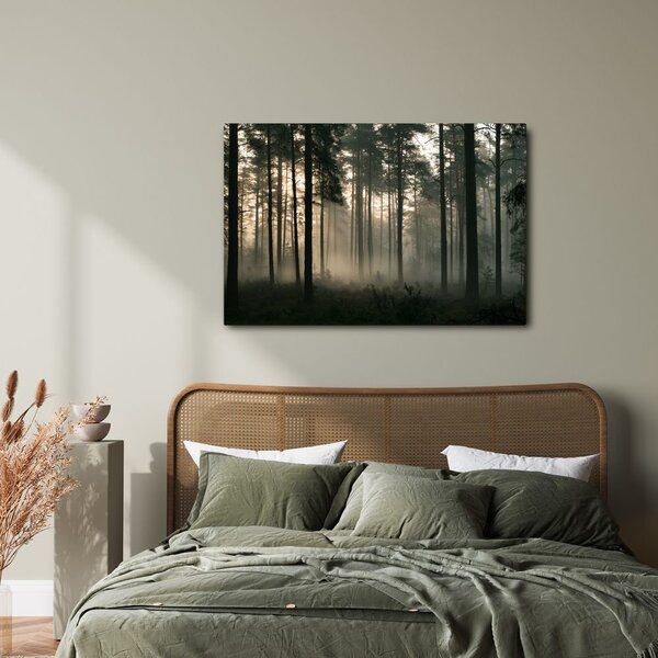 Quadro su tela – Pineta nebbiosa all’alba