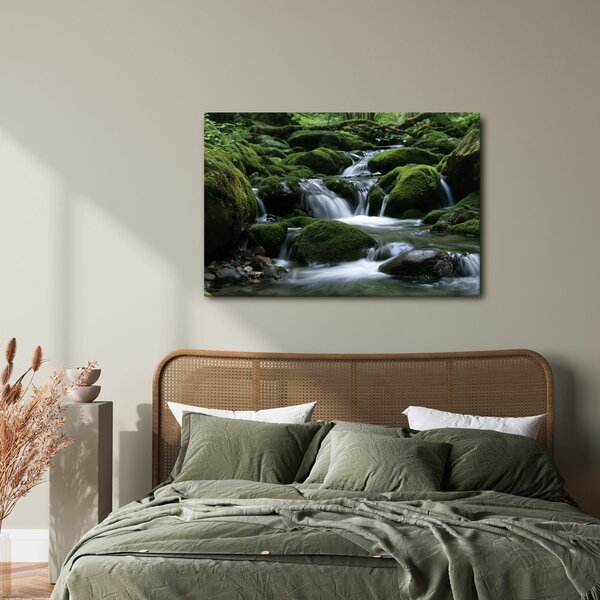 Quadro su tela – Ruscello nel bosco tra il muschio