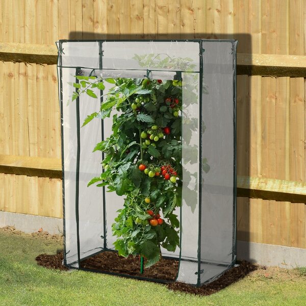 Serra da Giardino 100x50x150 cm in PVC Trasparente