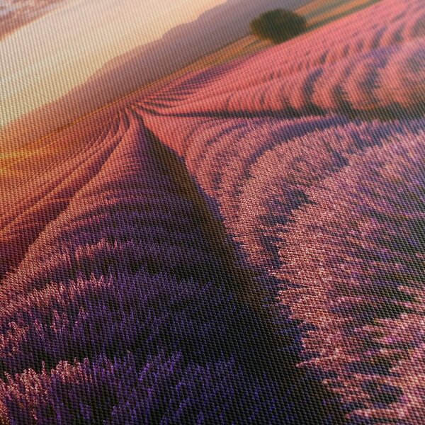 Quadro su tela – Lavanda viola nel paesaggio