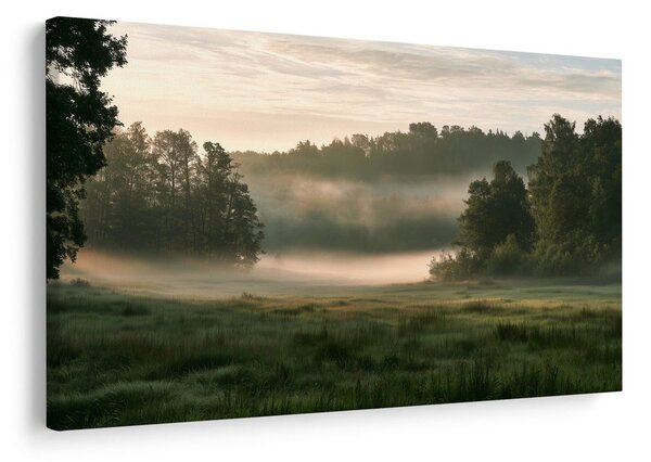 Quadro su tela – Mattina nebbiosa sopra il prato