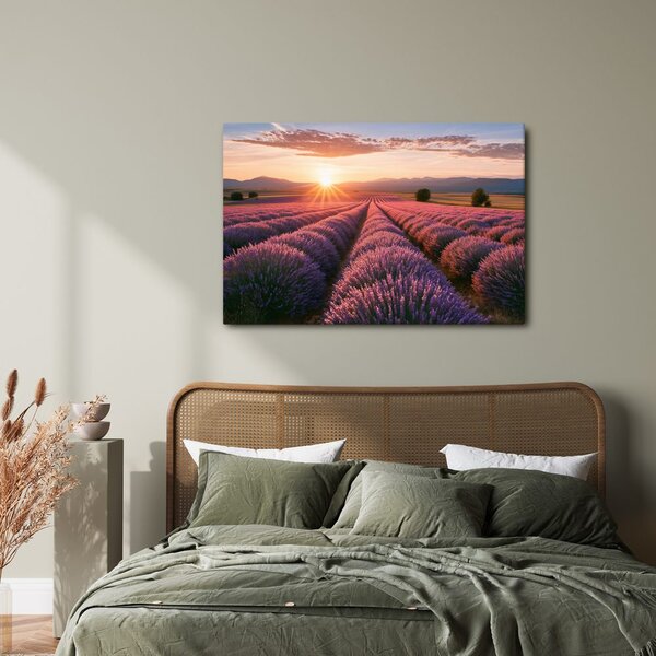 Quadro su tela – Sole sul campo di lavanda