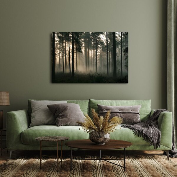 Quadro su tela – Pineta nebbiosa all’alba
