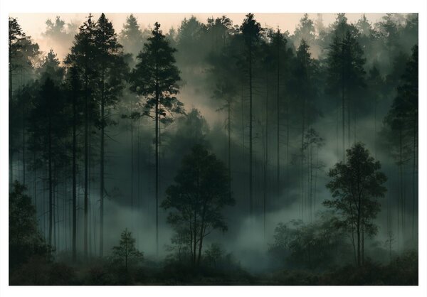 Quadro su tela – Foresta nebbiosa all’alba