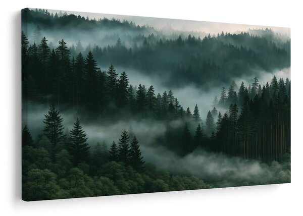 Quadro su tela – Foresta montana di conifere nella nebbia