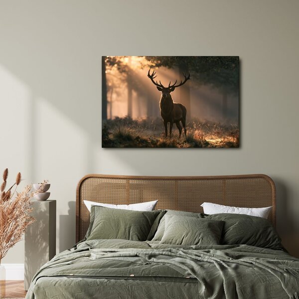 Quadro su tela – Cervo nella luce del mattino