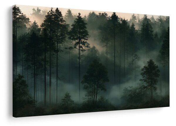 Quadro su tela – Foresta nebbiosa all’alba