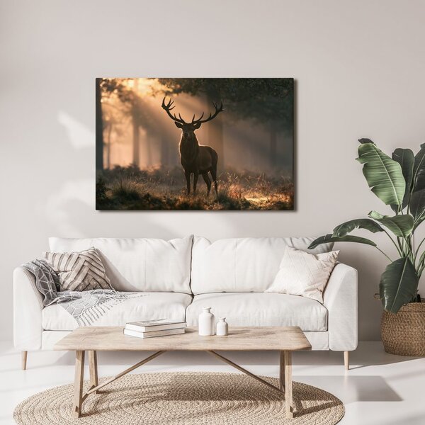 Quadro su tela – Cervo nella luce del mattino