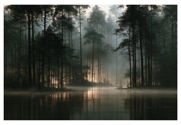 Quadro su tela – Foresta nebbiosa sul lago
