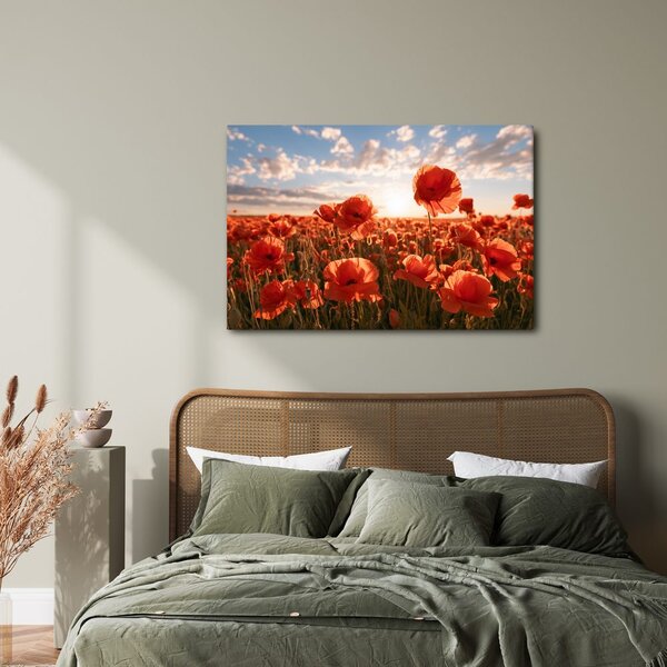 Quadro su tela – Papaveri al tramonto