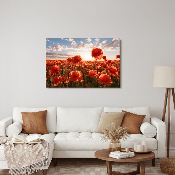 Quadro su tela – Papaveri al tramonto