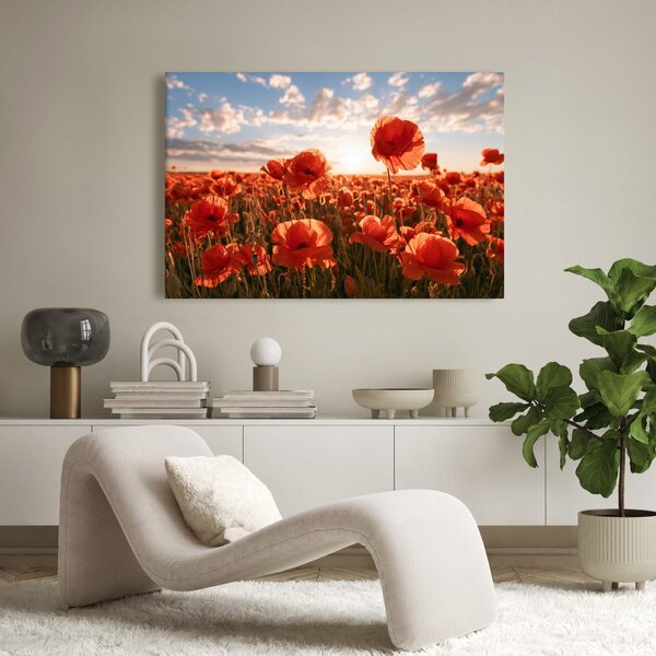 Quadro su tela – Papaveri al tramonto