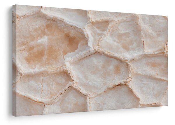 Quadro su tela – Delicato disegno del marmo beige