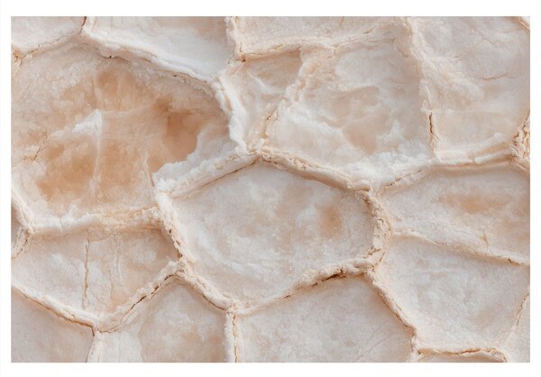 Quadro su tela – Delicato disegno del marmo beige