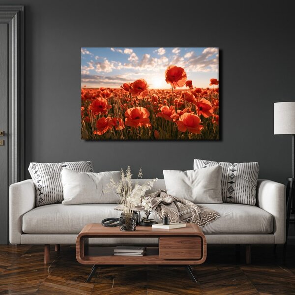 Quadro su tela – Papaveri al tramonto