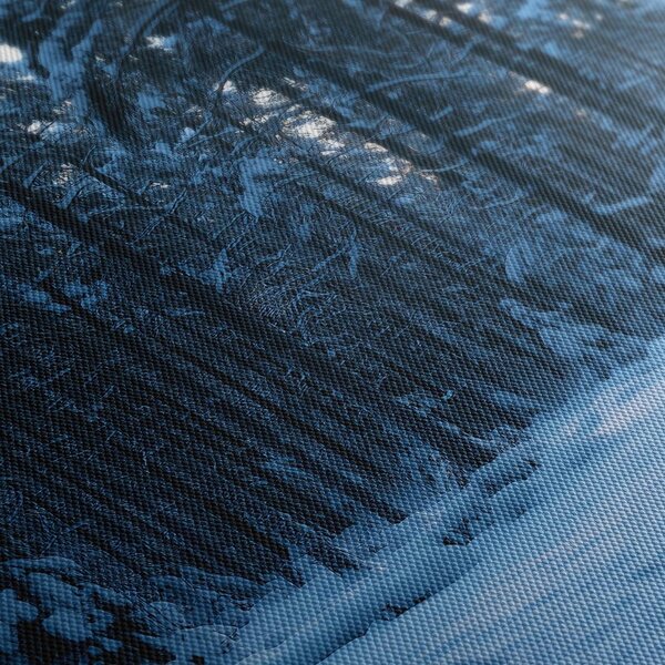 Quadro su tela – Silenzio invernale nel bosco