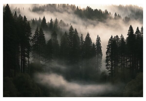 Quadro su tela – Bosco silenzioso nella nebbia