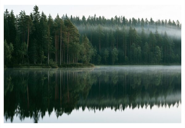 Quadro su tela – Lago nebbioso nel bosco